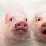 Avatar de Alejandra Reyes